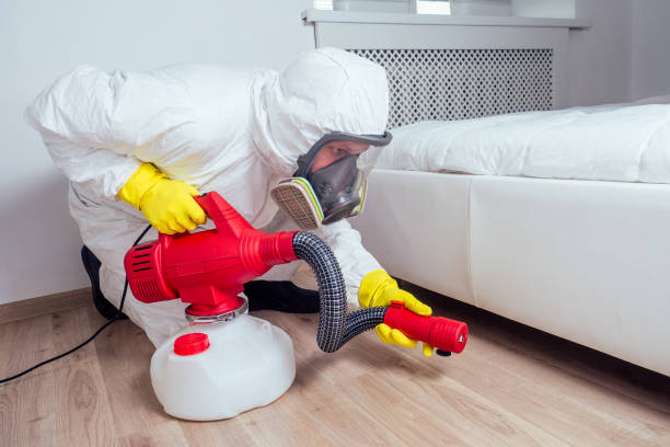 Best Wasp Removal Services  in Blue Jay, OH