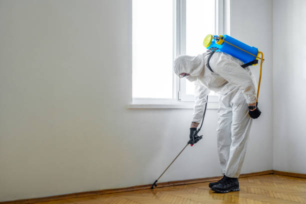 Best Pest Prevention Services  in Blue Jay, OH
