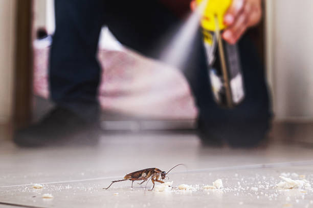 Best Pest Control Near Me  in Blue Jay, OH