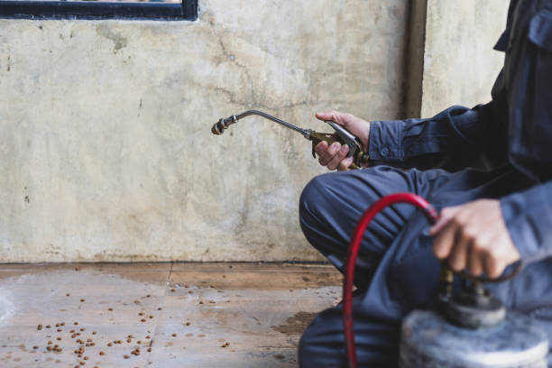 Best Termite Control Services  in Blue Jay, OH
